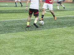 圈网页版官,资讯,28圈网页版官网,28圈网页版,28圈网页版官网,28圈H5网页版,28圈app官网进入