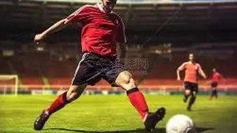 春日篮坛盛宴绽放璀璨光彩