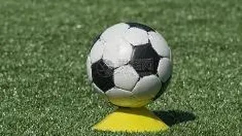 Zvezda 2005 彼得堡女子队 参与其他赛事