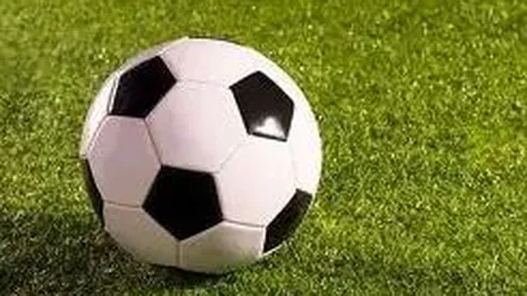 28圈网页版官网 资讯 104250 ewn