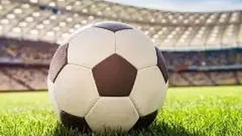 28圈网页版官网 产品 125341 nvv