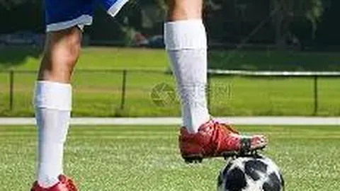 28圈网页版官网 产品 124636 dy4