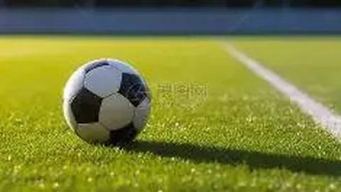 28圈网页版官网 资讯 103758 z95