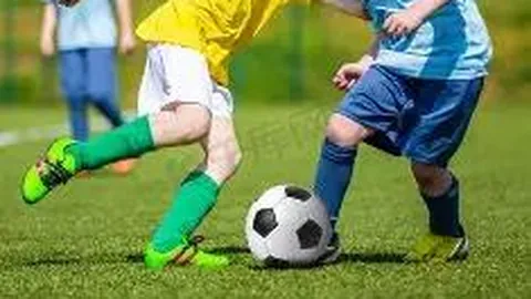 28圈网页版官网 产品 095319 jc7