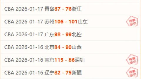 体育竞技级别深度解读及直播平台体验